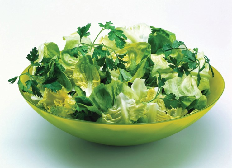 PARKER：如何獲取流量恒定的高純氮?dú)夤?yīng)？