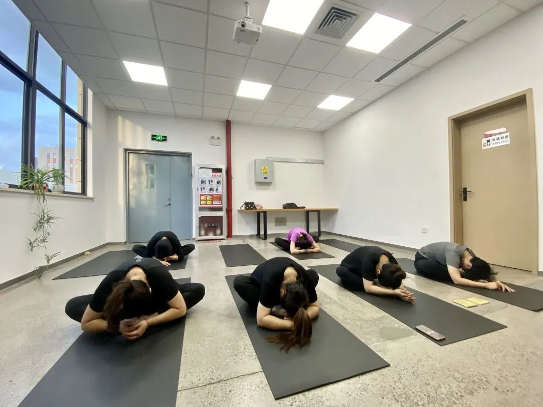 夏日炎炎， 中泰“瑜”你攜手同行